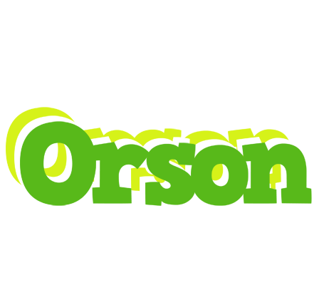 Orson picnic logo