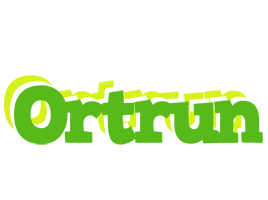 Ortrun picnic logo