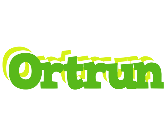Ortrun picnic logo