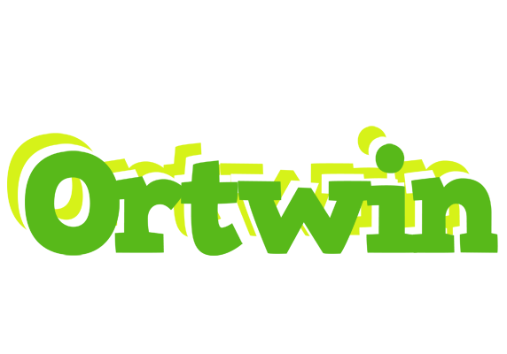 Ortwin picnic logo