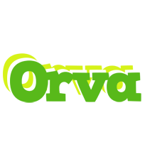 Orva picnic logo