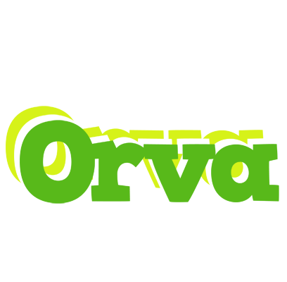 Orva picnic logo