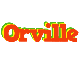 Orville bbq logo