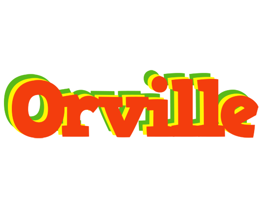 Orville bbq logo