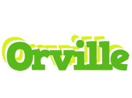 Orville picnic logo