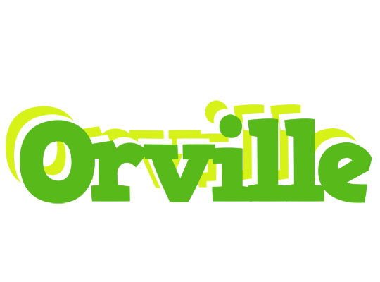 Orville picnic logo