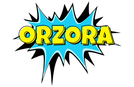 Orzora amazing logo