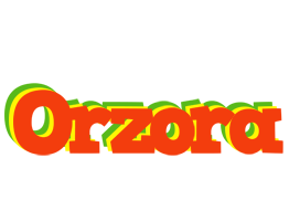 Orzora bbq logo