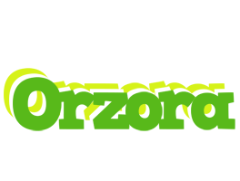 Orzora picnic logo