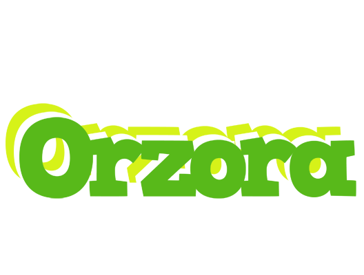 Orzora picnic logo