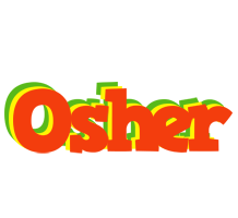 Osher bbq logo