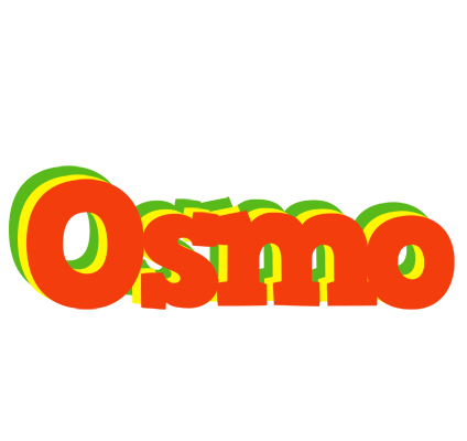 Osmo bbq logo