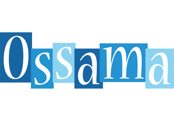 Ossama winter logo