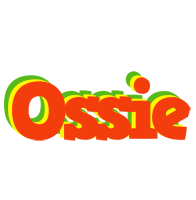 Ossie bbq logo