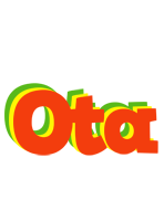 Ota bbq logo