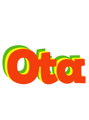 Ota bbq logo