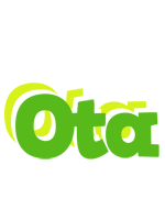 Ota picnic logo