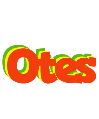 Otes bbq logo