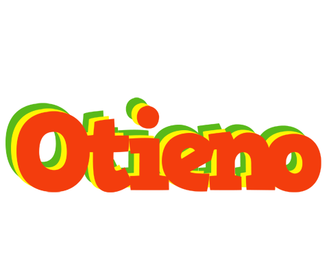 Otieno bbq logo