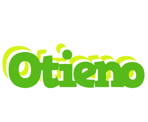 Otieno picnic logo