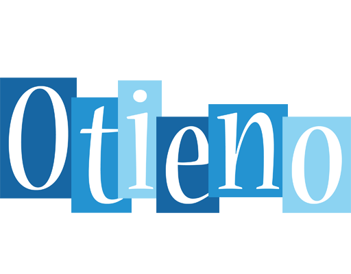 Otieno winter logo