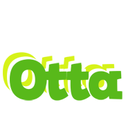 Otta picnic logo