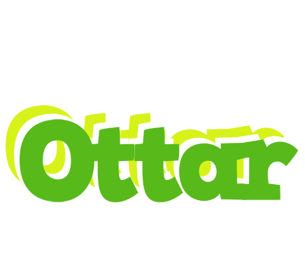 Ottar picnic logo