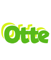 Otte picnic logo