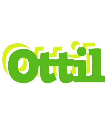 Ottil picnic logo