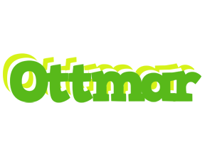 Ottmar picnic logo