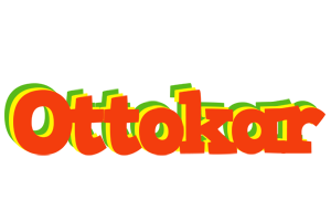 Ottokar bbq logo