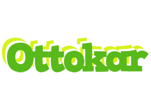 Ottokar picnic logo