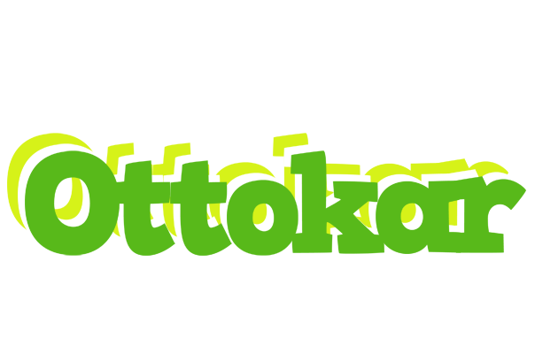 Ottokar picnic logo
