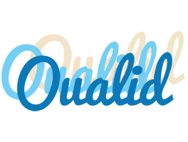 Oualid breeze logo