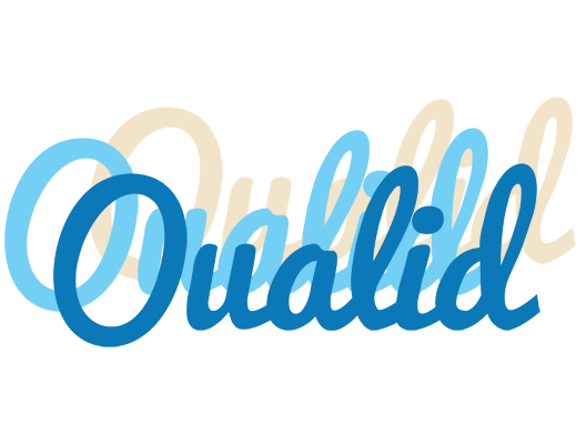 Oualid breeze logo