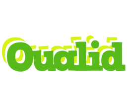 Oualid picnic logo