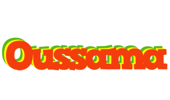 Oussama bbq logo