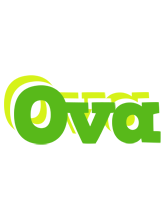 Ova picnic logo