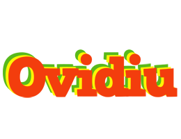 Ovidiu bbq logo