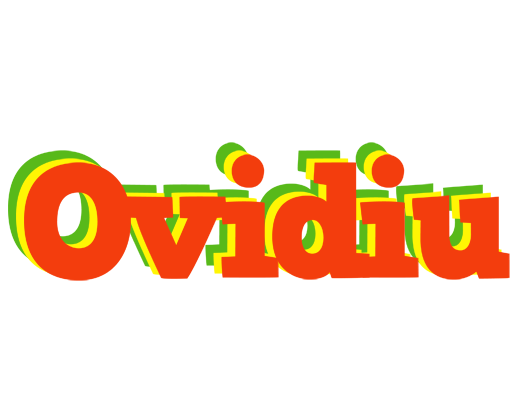 Ovidiu bbq logo