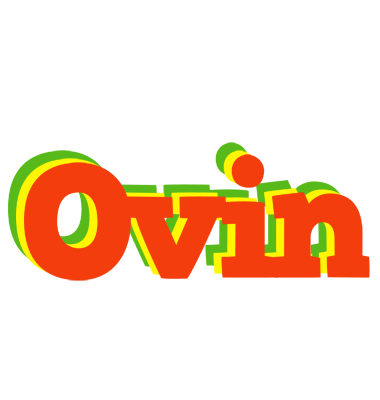 Ovin bbq logo