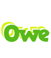 Owe picnic logo