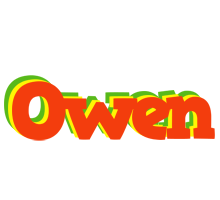 Owen bbq logo