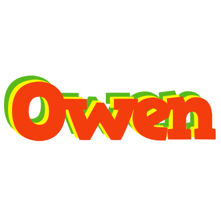 Owen bbq logo
