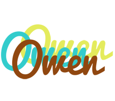 Owen cupcake logo
