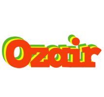 Ozair bbq logo