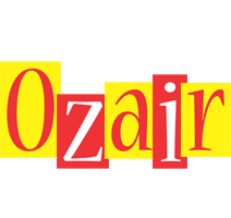 Ozair errors logo