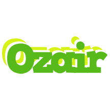 Ozair picnic logo