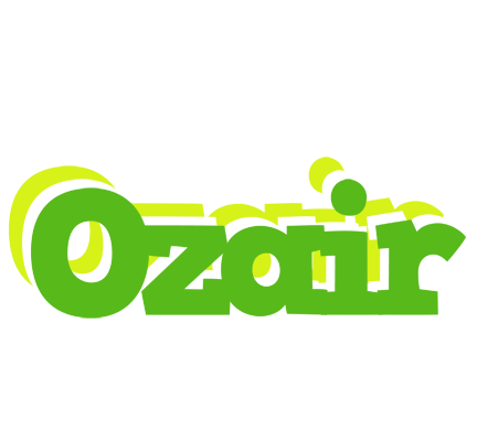 Ozair picnic logo