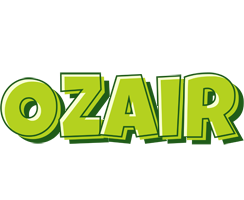 Ozair summer logo